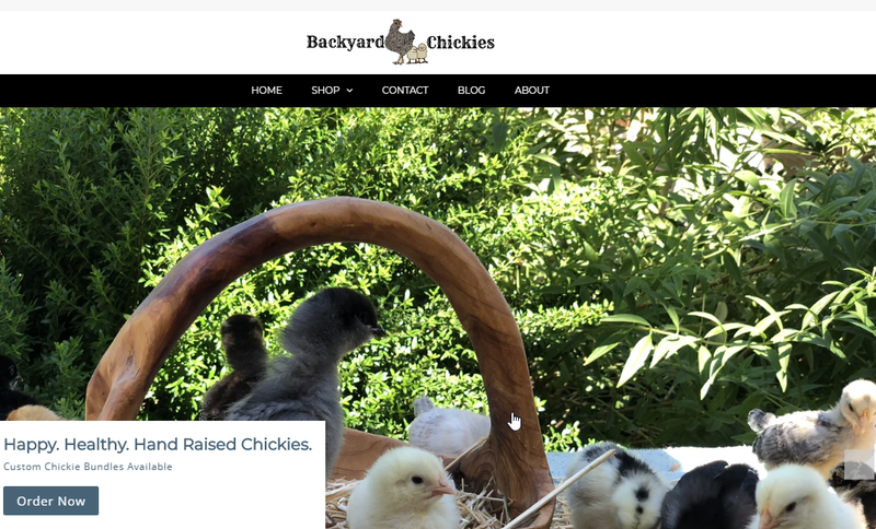 New Backyard Chickies website